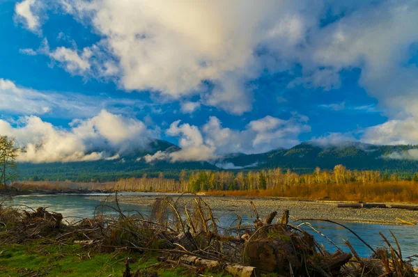 Quinault floden — Stockfoto