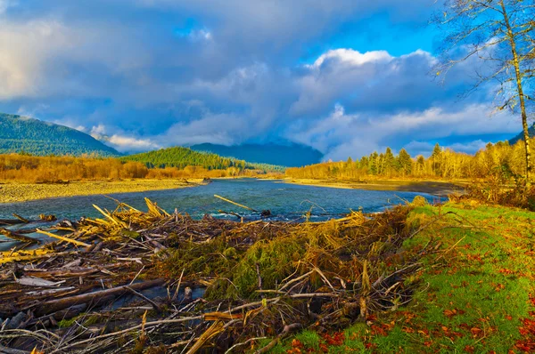 Quinault rivier — Stockfoto