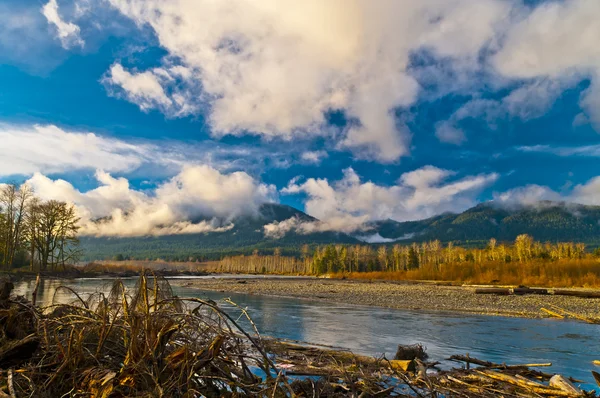 Quinault rzeki — Zdjęcie stockowe