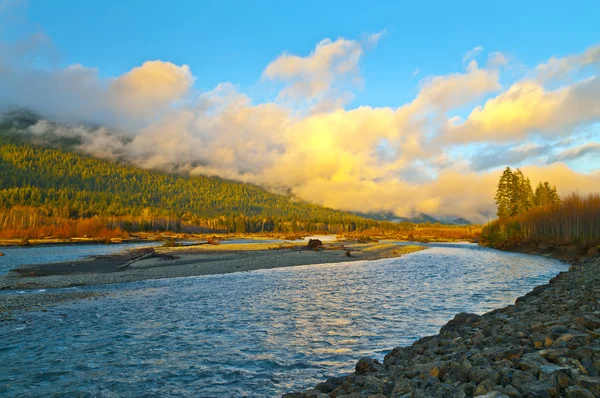 Quinault Nehri — Stok fotoğraf