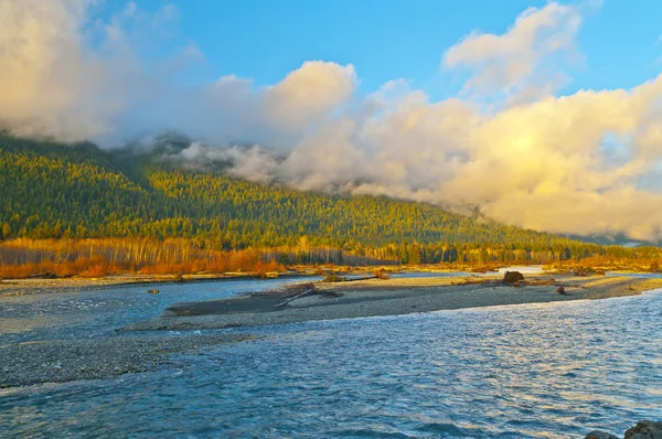 Río Quinault —  Fotos de Stock