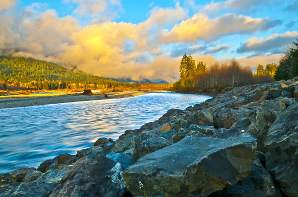 Quinault 강 — 스톡 사진