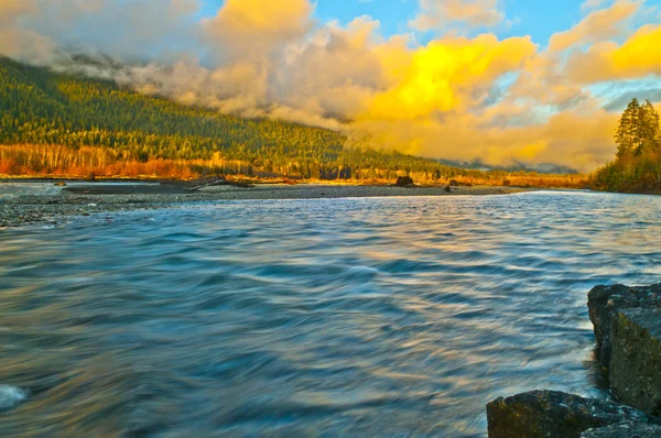 Quinault floden — Stockfoto