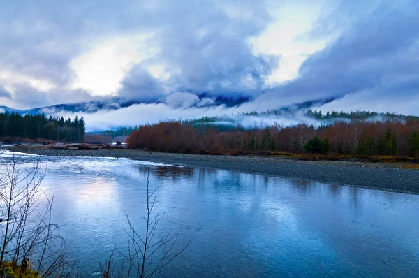 Quinault Valley — Stock Photo, Image
