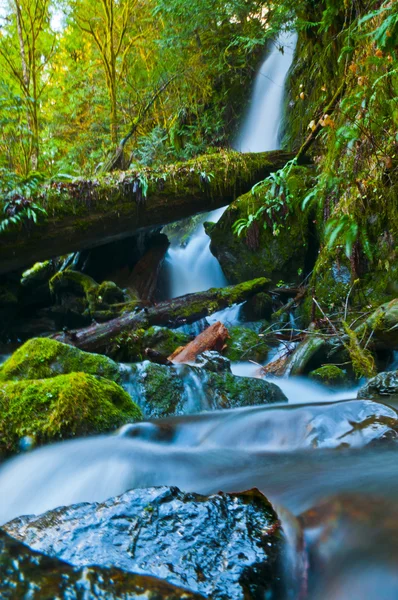 Amazing Waterfall — Stock Photo, Image