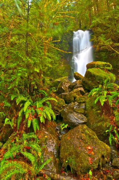 Cascata della foresta pluviale — Foto Stock