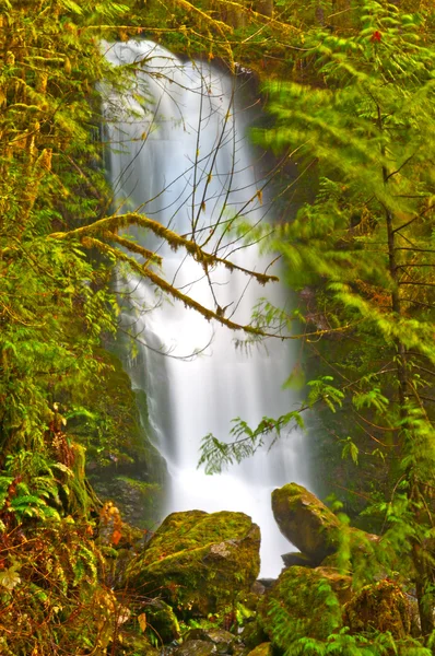 Deštný prales vodopád — Stock fotografie