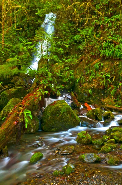 Esőerdő-vízesés — Stock Fotó