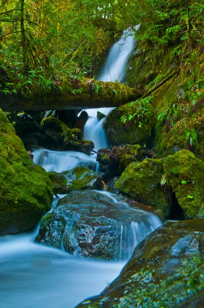 Cachoeira da floresta tropical — Fotografia de Stock