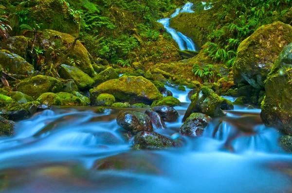 熱帯雨林の滝 — ストック写真