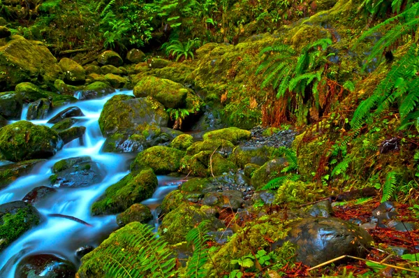 Regenwoud waterval — Stockfoto