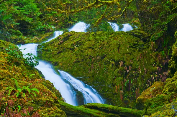 Wasserfall im Regenwald — Stockfoto