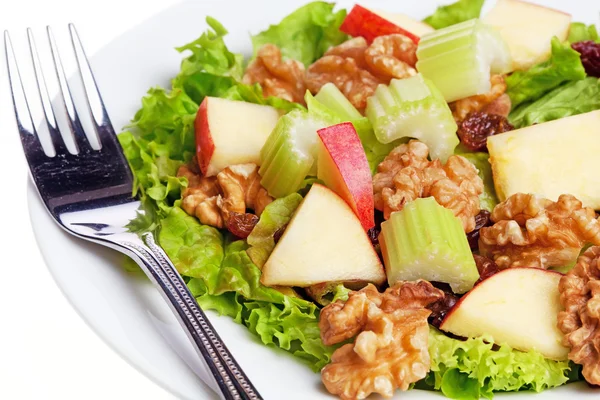 stock image Waldorf Salad