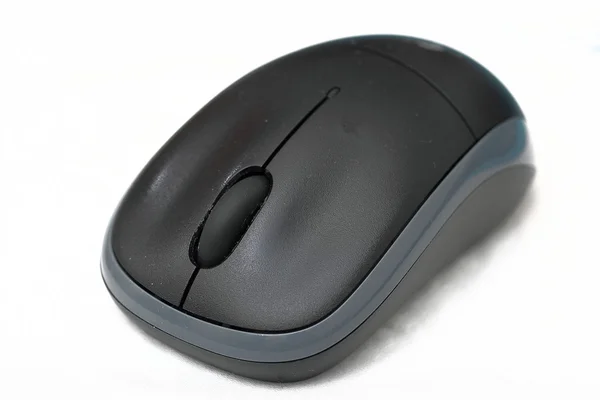 stock image A mouse