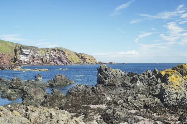 崖と聖アブス、berwickshire 海岸 — ストック写真