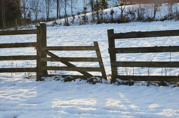 Сломанный забор в снегу на закате — стоковое фото