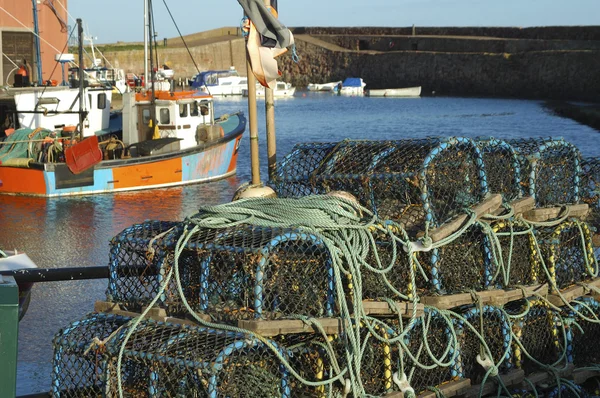 Kreeft potten en trawlers in dunbar harbour — Stockfoto