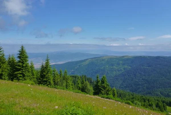 Stock image Nature landscape