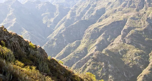 stock image Mountains of Anaga