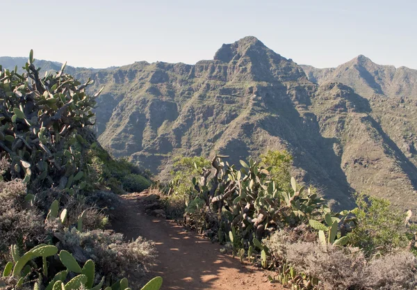 stock image Mountains of Anaga