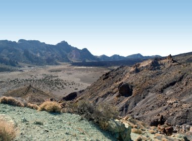 teide bitki örtüsü