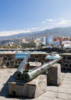 View of Puerto de la Cruz clipart