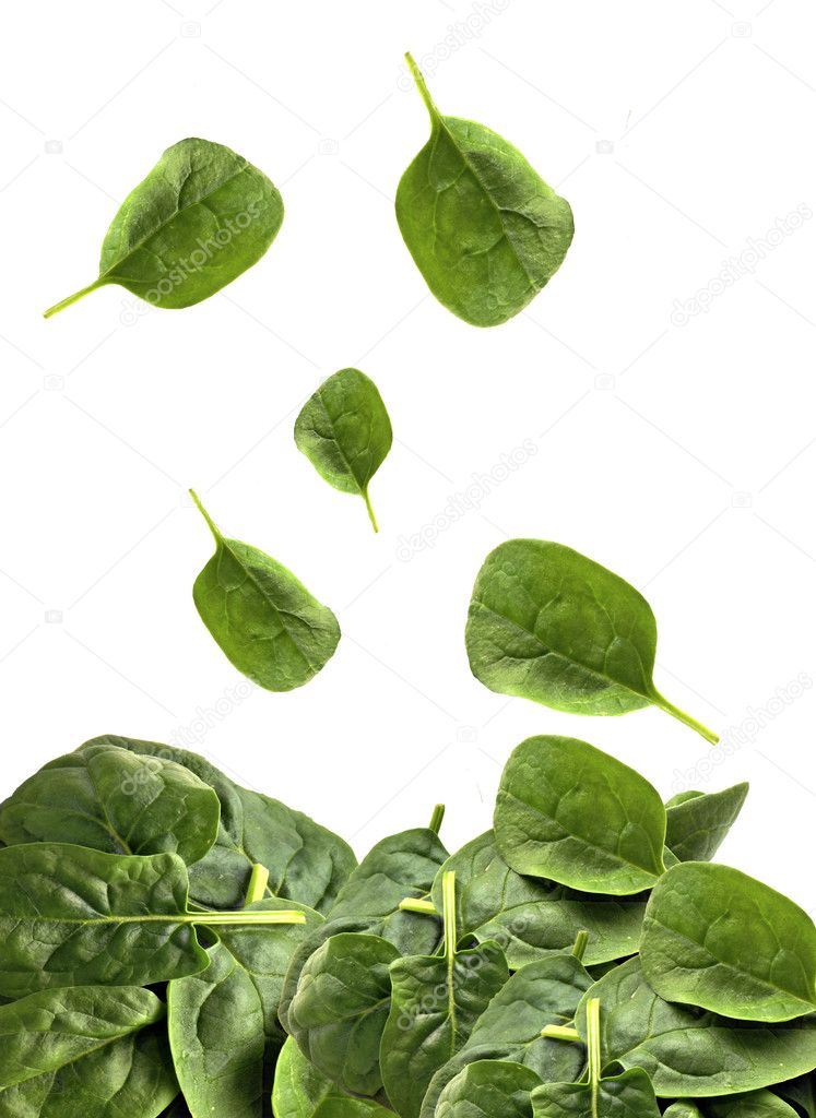 Spinach leaves falling