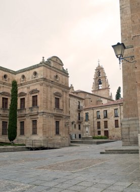 Salamanca street with old houses clipart