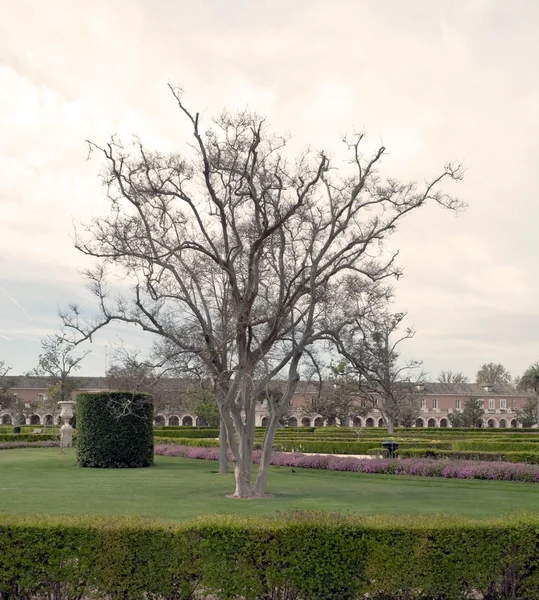 Ogrody Aranjuez — Zdjęcie stockowe