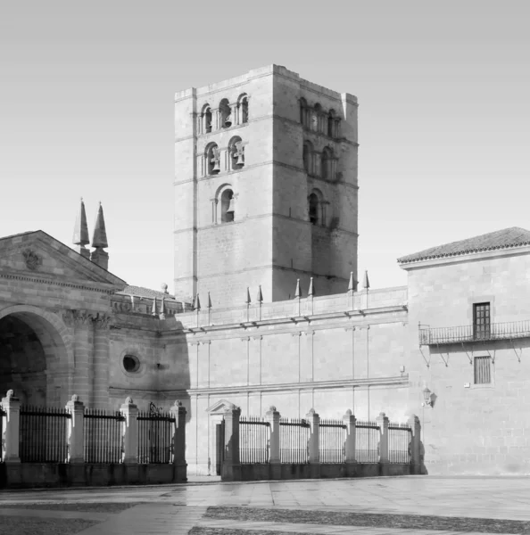 萨莫拉大教堂塔楼 — 图库照片