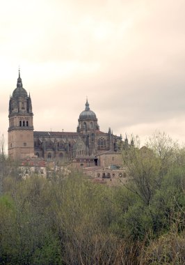 Cathedral of Salamanca clipart