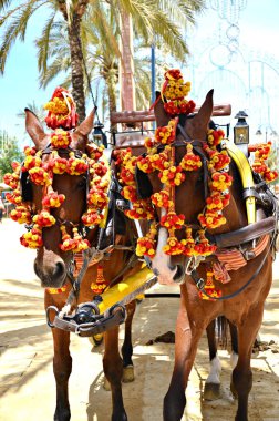 Horse Fair in Jerez clipart