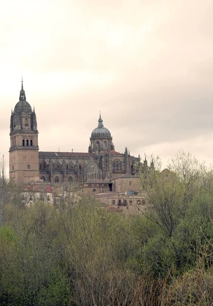 Salamancas katedral — Stockfoto