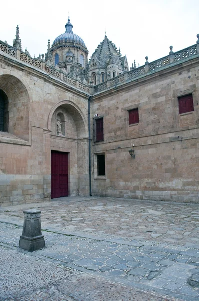 Cour arrière de la cathédrale — Photo