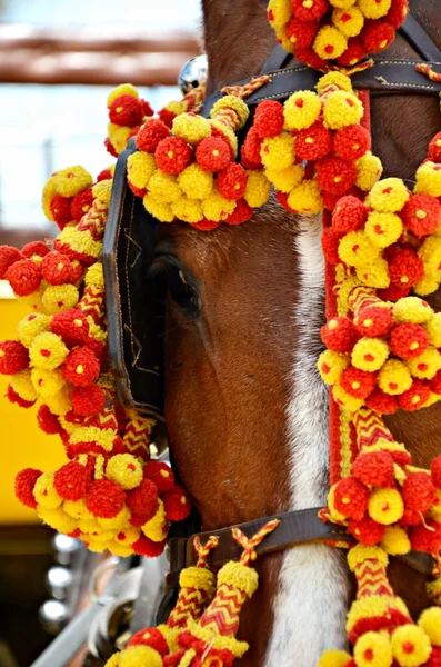 stock image Horse Fair in Jerez