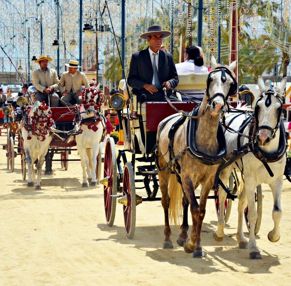 En caballos de transporte — Foto de Stock