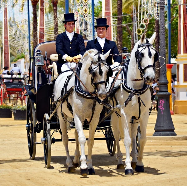 Em cavalos de transporte — Fotografia de Stock