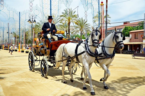 Em cavalos de transporte — Fotografia de Stock