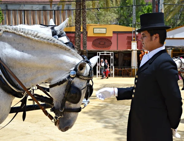 Homem carinhoso a cavalo — Fotografia de Stock