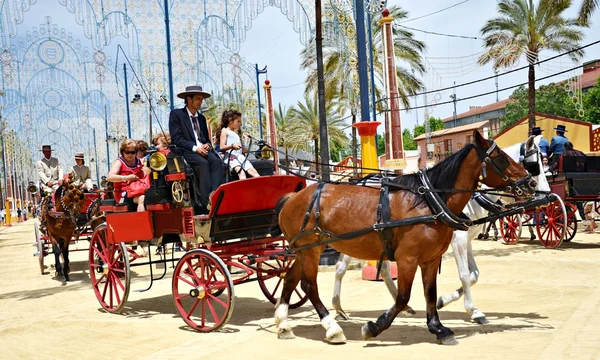 En caballos de transporte —  Fotos de Stock