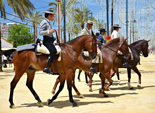 Riders on horseback — Stock Photo, Image