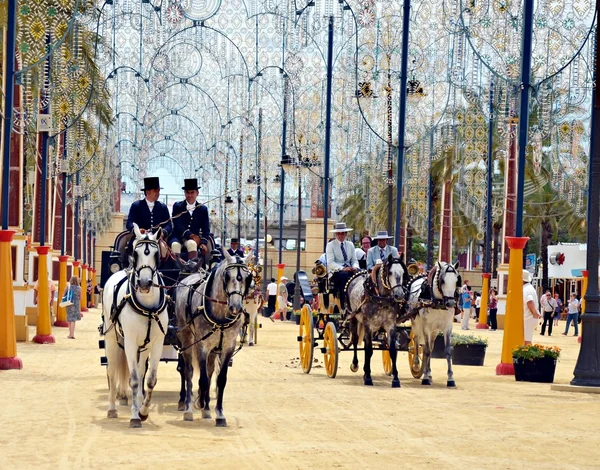 Em cavalos de transporte — Fotografia de Stock