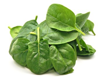 Spinach leaves clipart