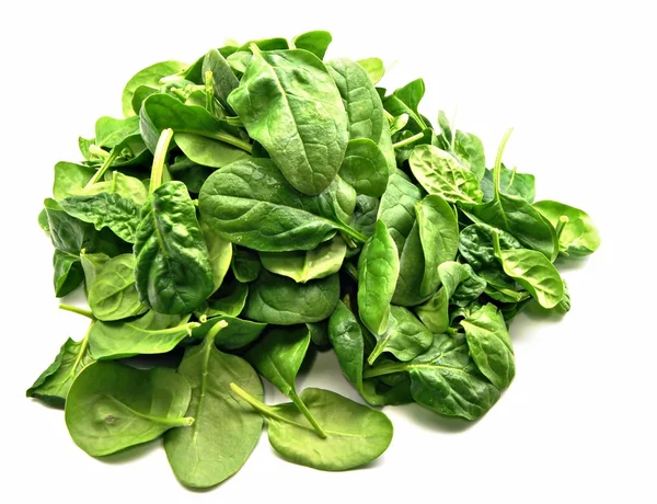 Foglie di spinaci — Foto Stock