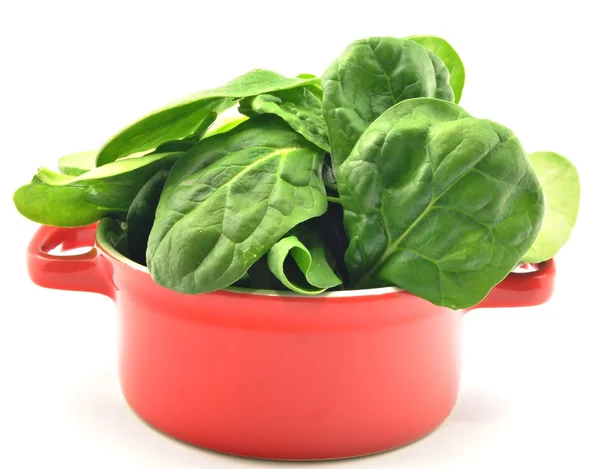 Spinach in a red cauldron — Stock Photo, Image