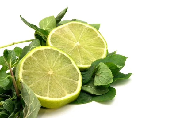 Lime slices with mint leaves — Stock Photo, Image