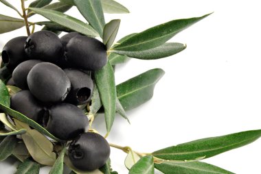 Zeytin yaprağı ile Siyah Zeytin