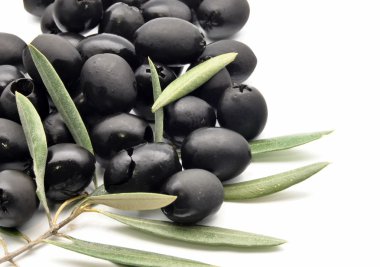 Zeytin yaprağı ile Siyah Zeytin