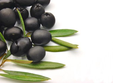 Zeytin yaprağı ile Siyah Zeytin