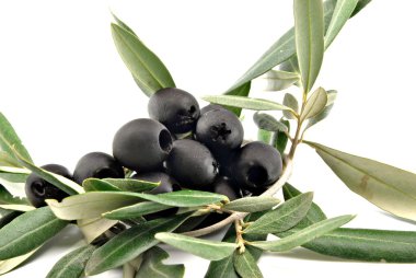 Zeytin yaprağı ile Siyah Zeytin